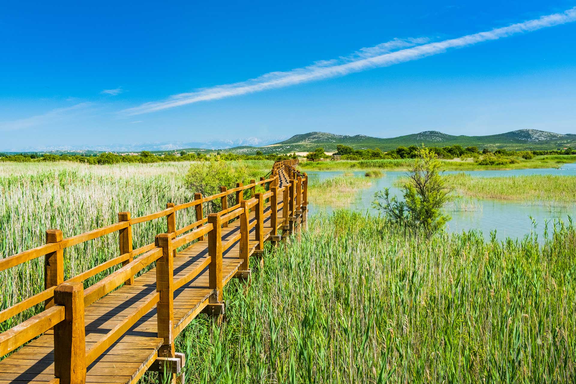 La meravigliosa natura del Parco naturale Vransko jezero