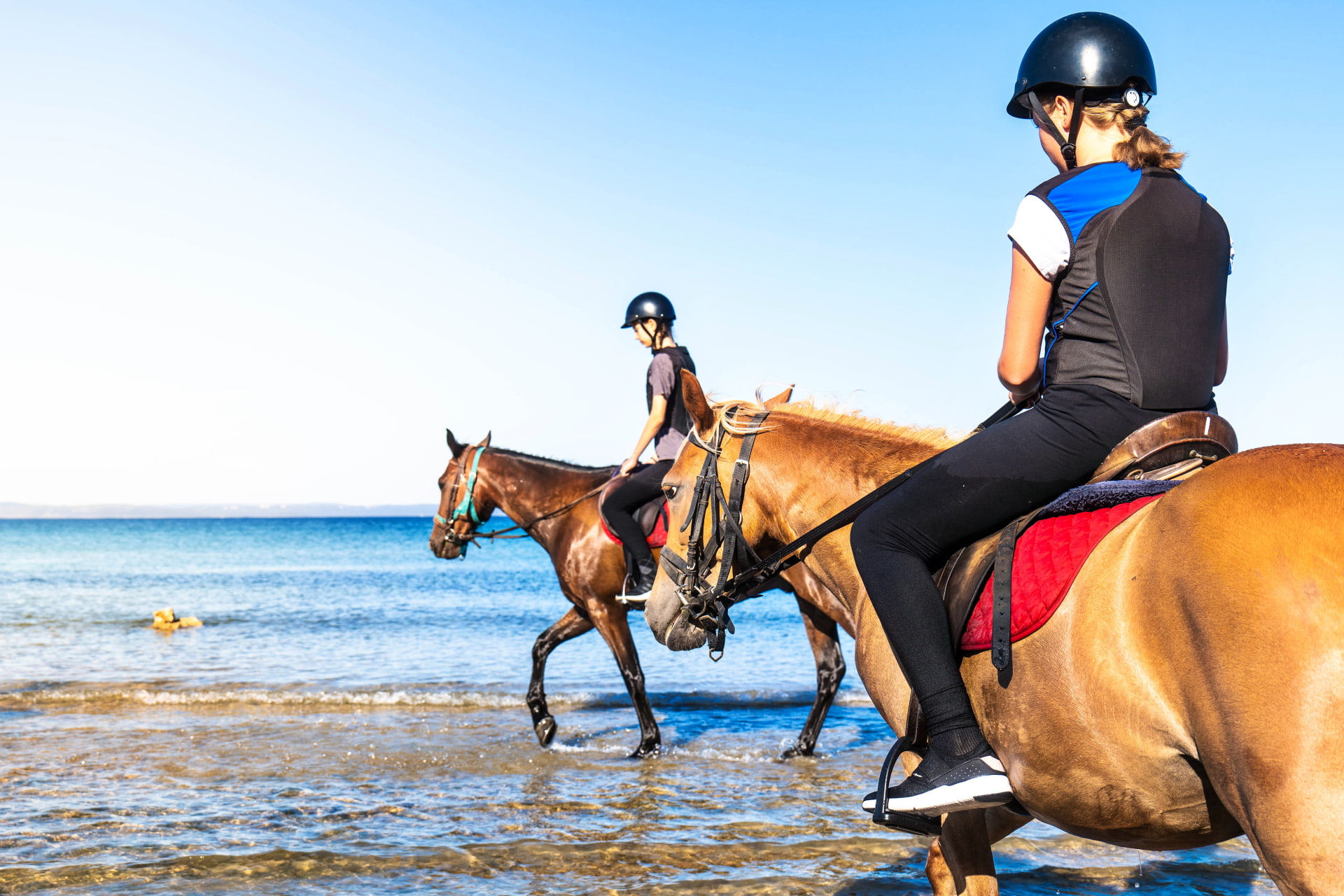 Horseback riding in Zaton Holiday Resort